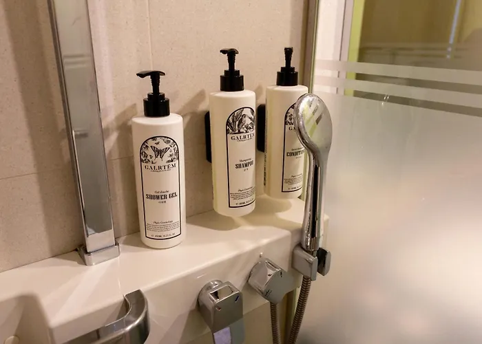 ザ レセンツ 東大門 ホテル 4*